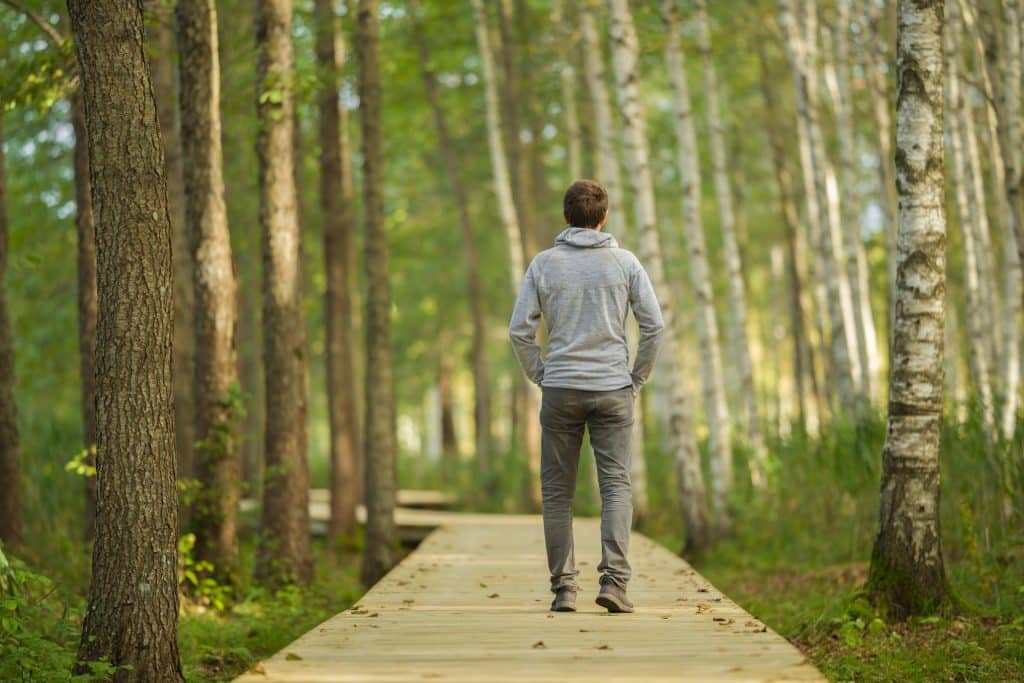 Man walking quietly through a serene forest trail—ideal for those exploring peaceful places to visit.