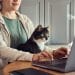 Traveler working on laptop with a cat on their lap, representing house sitting jobs abroad.
