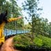 A woman in a yellow dress enjoying the open doorway of the Kandy to Ella train passing through tea plantations.