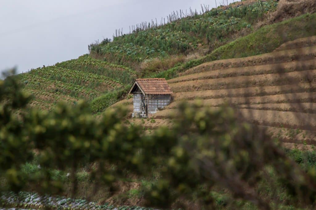 Small hut on terraced hillside at sunset