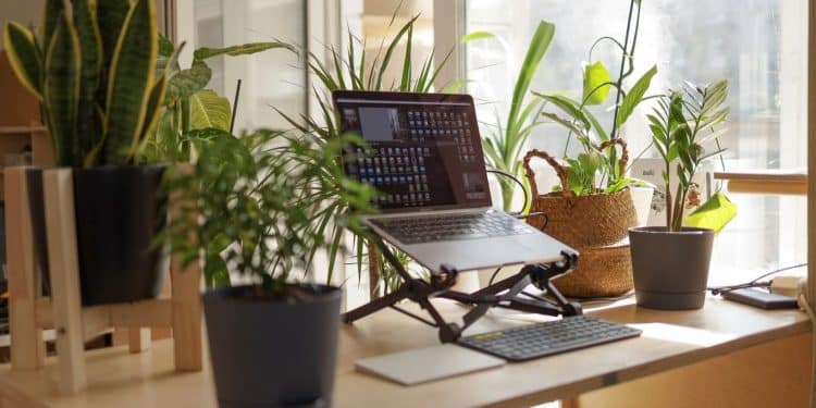 The Best Remote Work Cities You’ve Never Heard Of