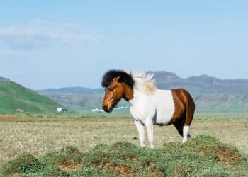 The Iceland Stopover Trick: How to Add an Extra Country for Free