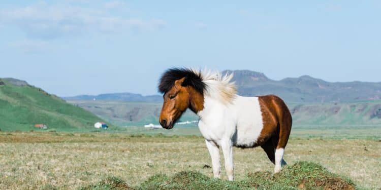 The Iceland Stopover Trick: How to Add an Extra Country for Free