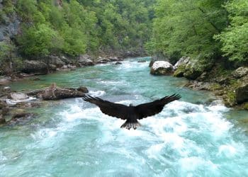 The Balkan River Canyon Deeper Than the Grand Canyon