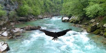 The Balkan River Canyon Deeper Than the Grand Canyon