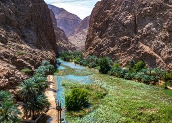 You Have to Swim Through a Cave to Reach This Hidden Omani Waterfall