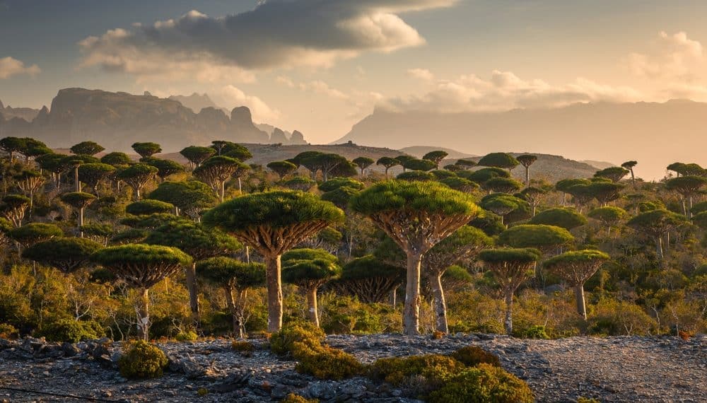 The Most Alien-Looking Island on Earth (And You Can Visit It)