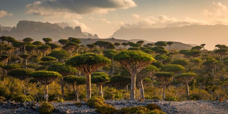 The Most Alien-Looking Island on Earth (And You Can Visit It)