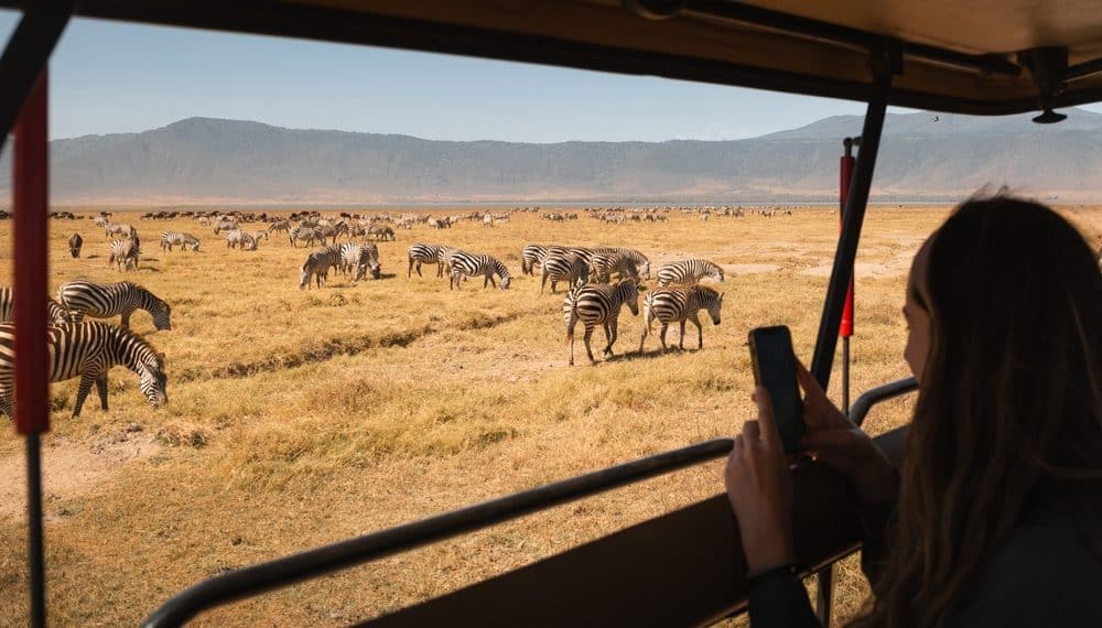 How to Do an African Safari Without Spending Thousands