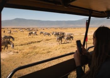 How to Do an African Safari Without Spending Thousands