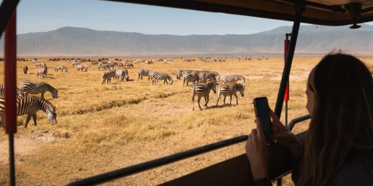 How to Do an African Safari Without Spending Thousands