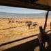 How to Do an African Safari Without Spending Thousands